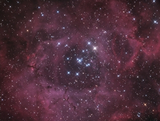 <h5>Rosette Nebula</h5>