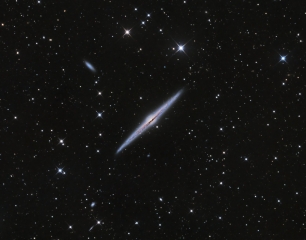 <h5>Needle Galaxy</h5>